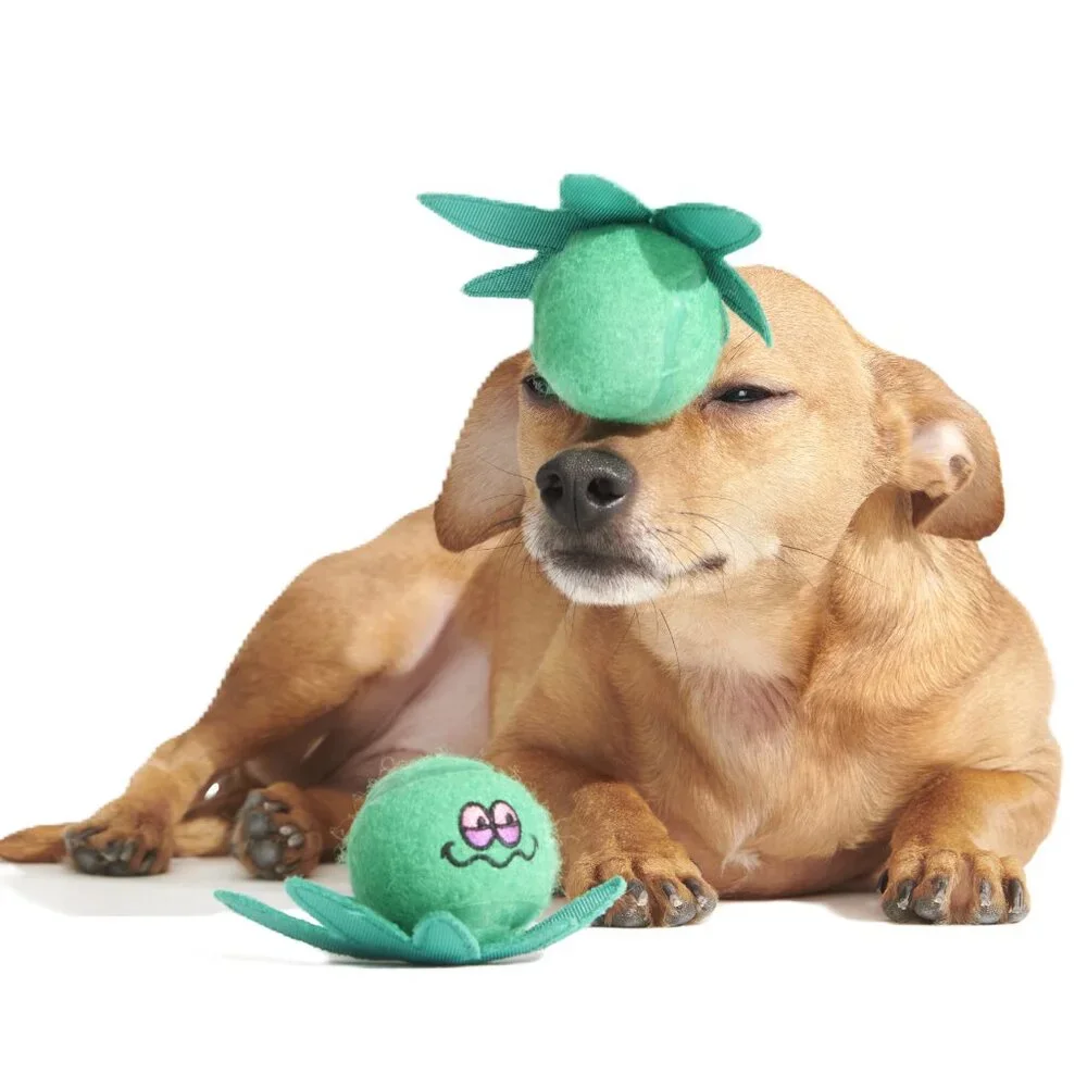 NWT Bark Box DOPE TENNIS BALLS Dog Toy 4/20 Bark Box Theme, Size L, Green